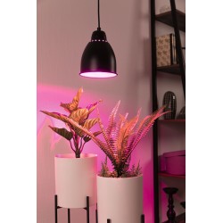 Suspension Neordic Hilla max 1x40W E27 Noir 230V Métal