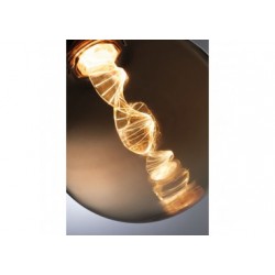 LED G125 Inner Glow Helix 180lm E27 doré 1800K