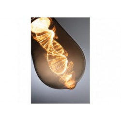 LED ST64 Inner Glow Helix 180lm E27 doré 1800K